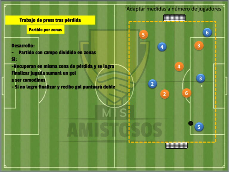 Partido reglado por zonas